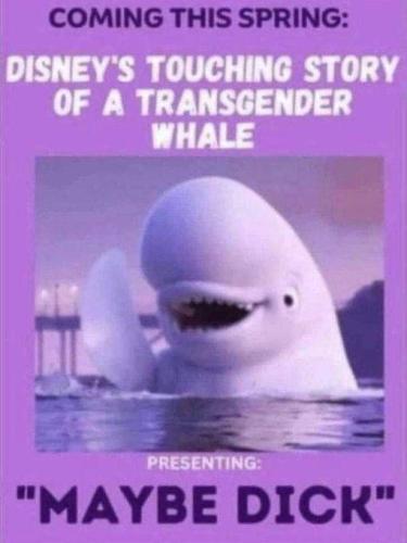 416076799_248034301642584_3296357542244978514_n