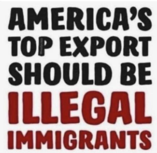 Illegals 1