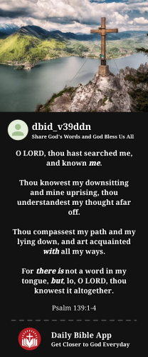 2024-01-281706489591463