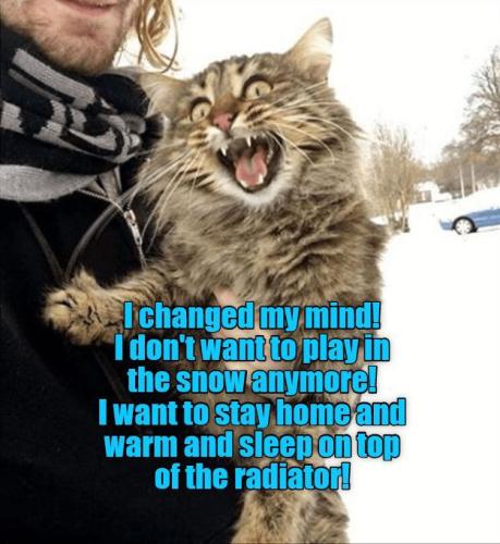 42cd2999cf64ea830fea775a360cede7