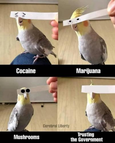 415208954_761848455994013_3908695523950683574_n