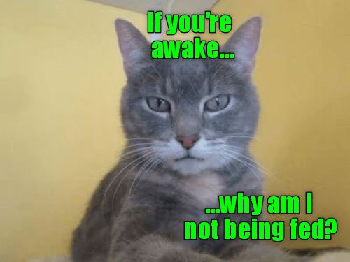 a9ed5e4ef8305f14bbd024eb364d983f