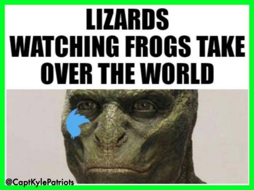 IMG_20240126_181758_879