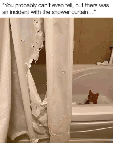 probably-cant-even-tell-but-there-an-incident-with-shower-curtain