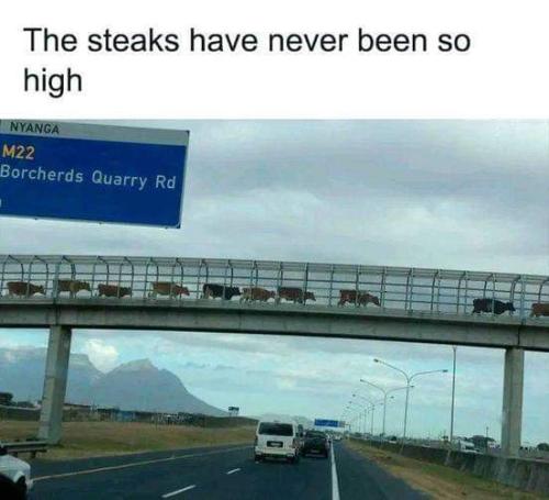 FB_IMG_1706417411604