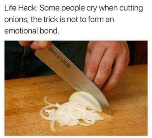 420918193_723524906585536_1062187850299369039_n