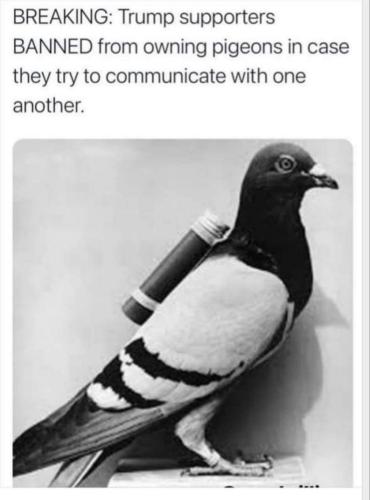 FB_IMG_1705256782100