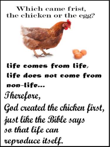 Chicken-and-egg-1320196284