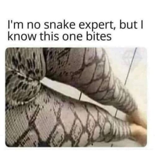 FB_IMG_1706711876825