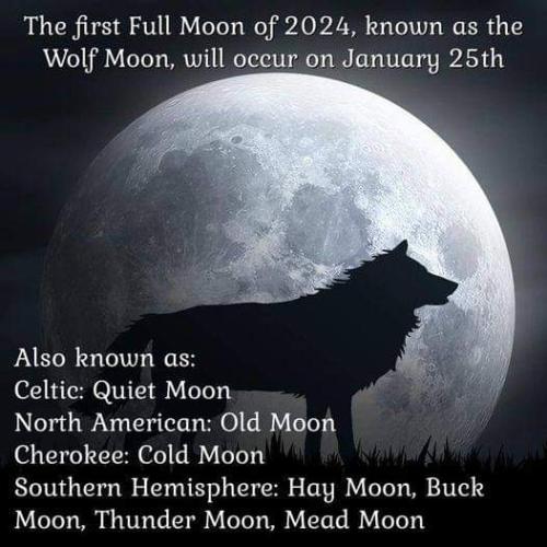 FB_IMG_1706327742539