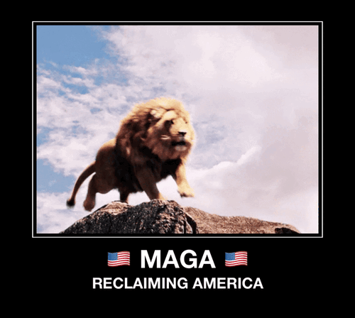 46ca37b8-46cc-448a-b90c-2b09845946eb