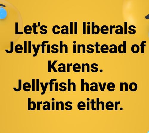 Karens jellyfish