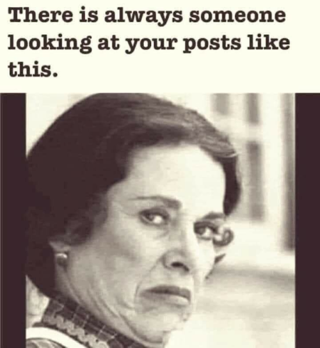 sngine_7a54b6b9b3fee8c2ac260e323b6d60ed