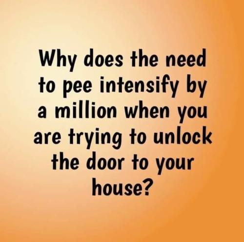 0241139b923591e719388fbfc2be24a9