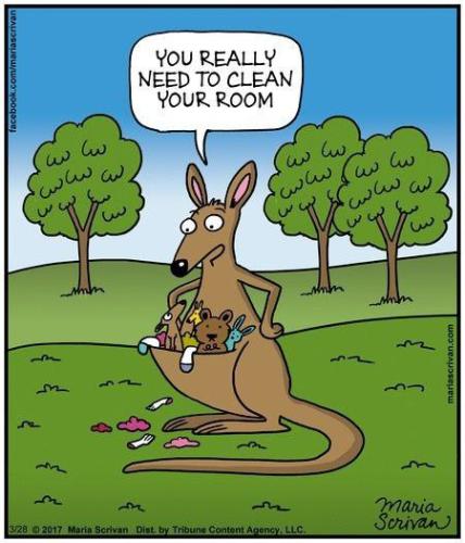 412852824_295252756848953_6098214688361418778_n