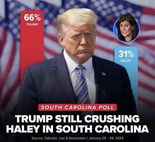 Trump Haley 3