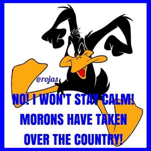 sngine_41d14b0424b7446658c41c842b40c7c9