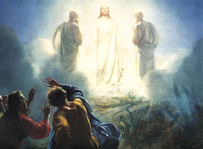 Transfiguration VI