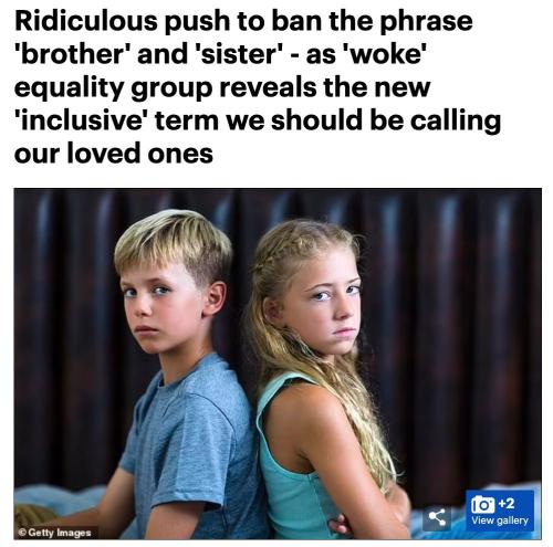 IMG_20240111_233512_905