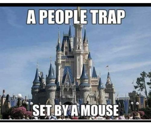 FB_IMG_1705881745686