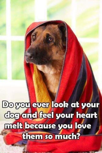 0cfcda5dcf473b24e87ce5802f203b4b