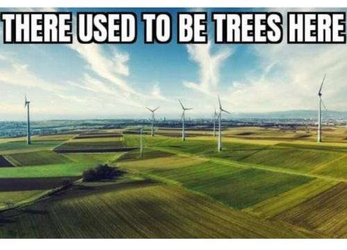 FB_IMG_1704934213534