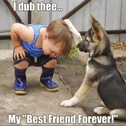 dub-thee-krews-krafts-my-best-friend-forever