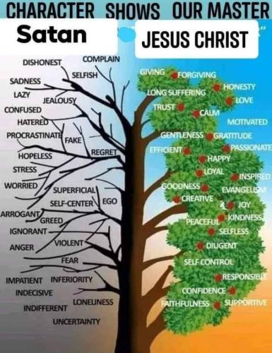 d186bed4-8aac-4f50-a028-5d01d7200968