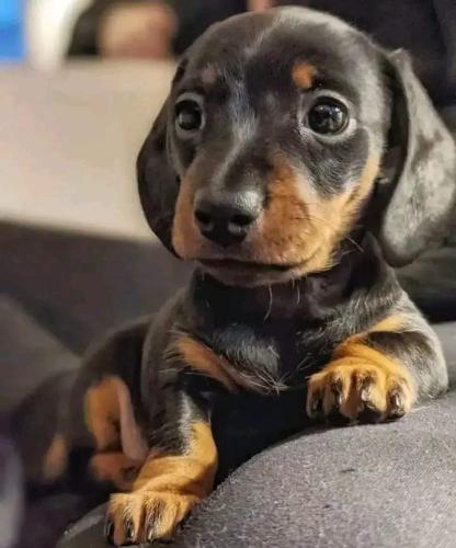 FB_IMG_1706459817303