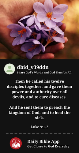 2024-01-181705559369796