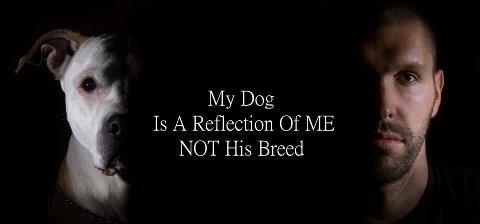 95e061873fd160ffb36c74f184d5d247