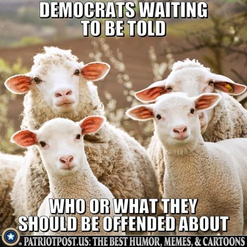 offended about
