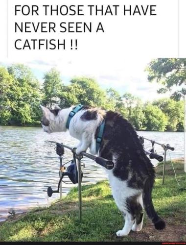 76f3d4e89996ec3f5eda8ed245e87e7822b6168726f6181a24b6a8e6f1a4c947_1