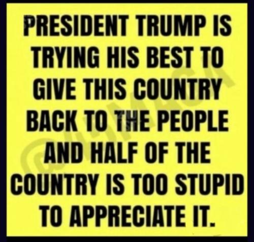 e5731c88-9898-4310-88f8-c1ab9ca876ac