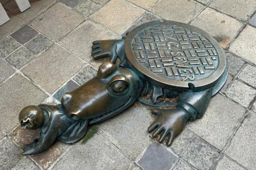 IMG_20240113_030256_038