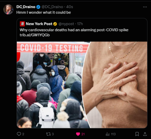 Screenshot 2024-01-25 063526