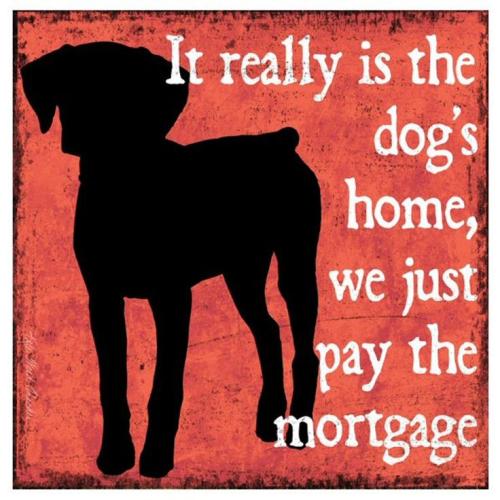 71e0a7d5c837b9236a1b5c6d924b2af1