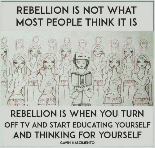 IMG_20240117_141153_651