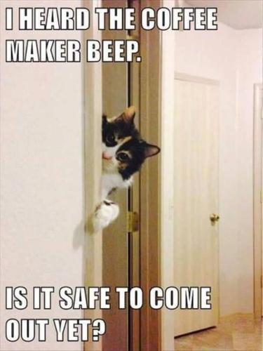 b7357b002d2f9bf556b18824fb207068