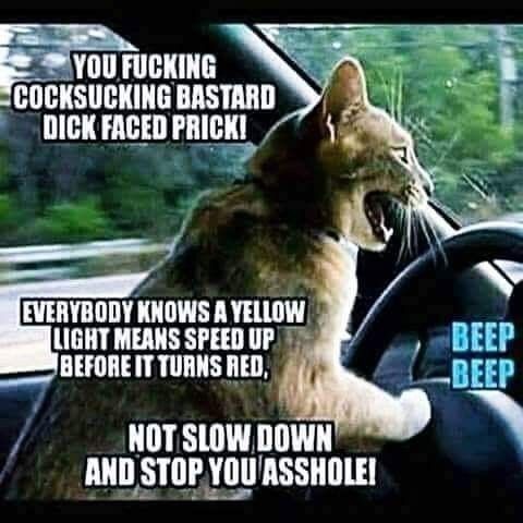 51fd8110679945ca3d69e4f7cd2e33e8