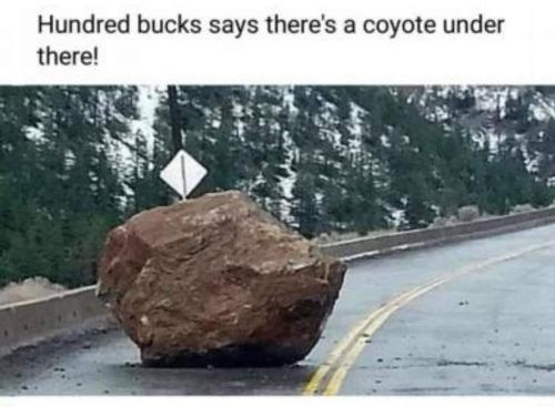 FB_IMG_1705162593084