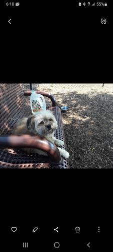 Screenshot_20240125-061005_Gallery