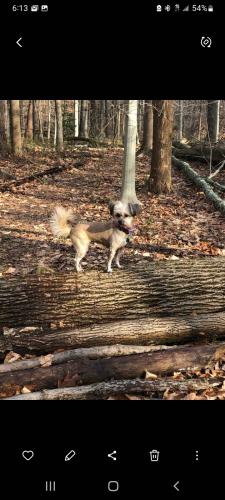 Screenshot_20240125-061357_Gallery