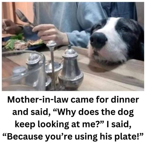 FB_IMG_1705106331566