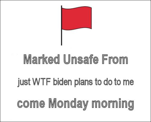 just WTF biden plans to do to me