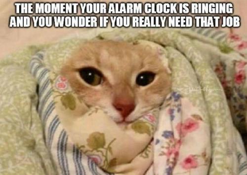 b0213dae46d74d83e7c5c5063820349d