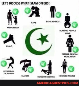 320122088012c3c03404fce1e4c59e29be536cf7d0d8ed77e0eda98d566fd679_1