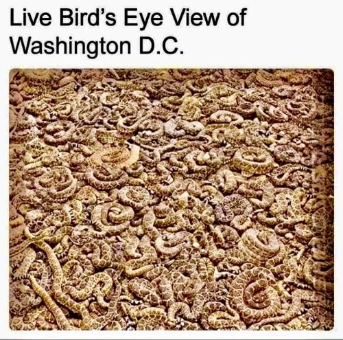 D68881A0-1979-45E6-9881-2B45501AD61A