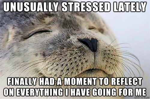 13:47:17 GMT-0600 (CST).png