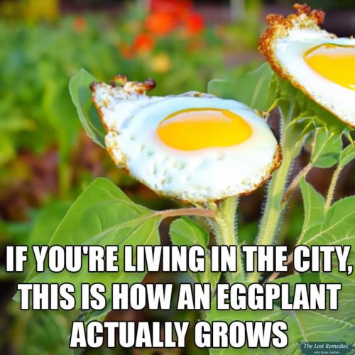 FB_IMG_1706365069144